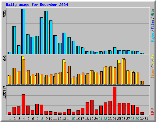 Daily usage for December 2024