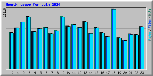 Hourly usage for July 2024