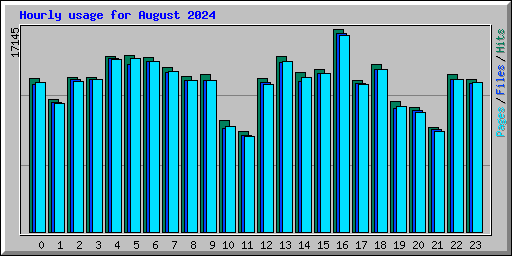 Hourly usage for August 2024