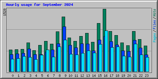 Hourly usage for September 2024