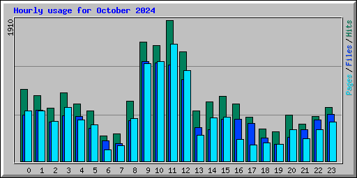 Hourly usage for October 2024