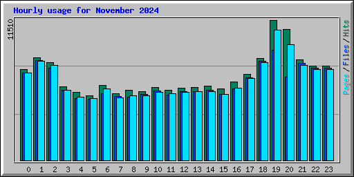 Hourly usage for November 2024