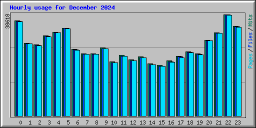 Hourly usage for December 2024