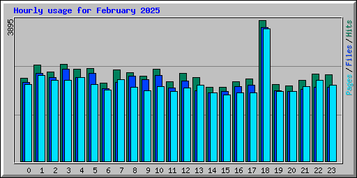 Hourly usage for February 2025