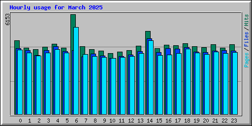 Hourly usage for March 2025