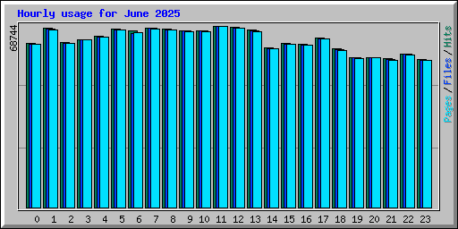 Hourly usage for June 2025