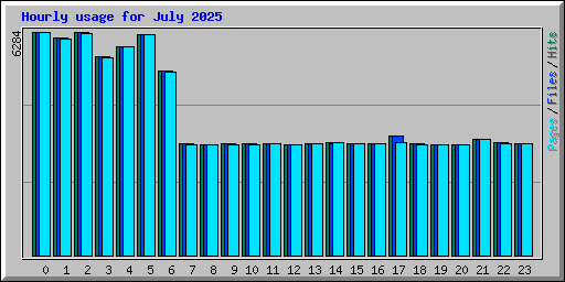 Hourly usage for July 2025