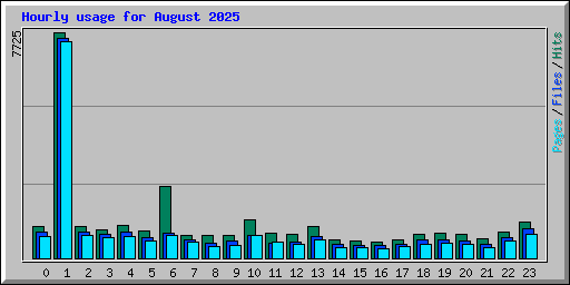 Hourly usage for August 2025
